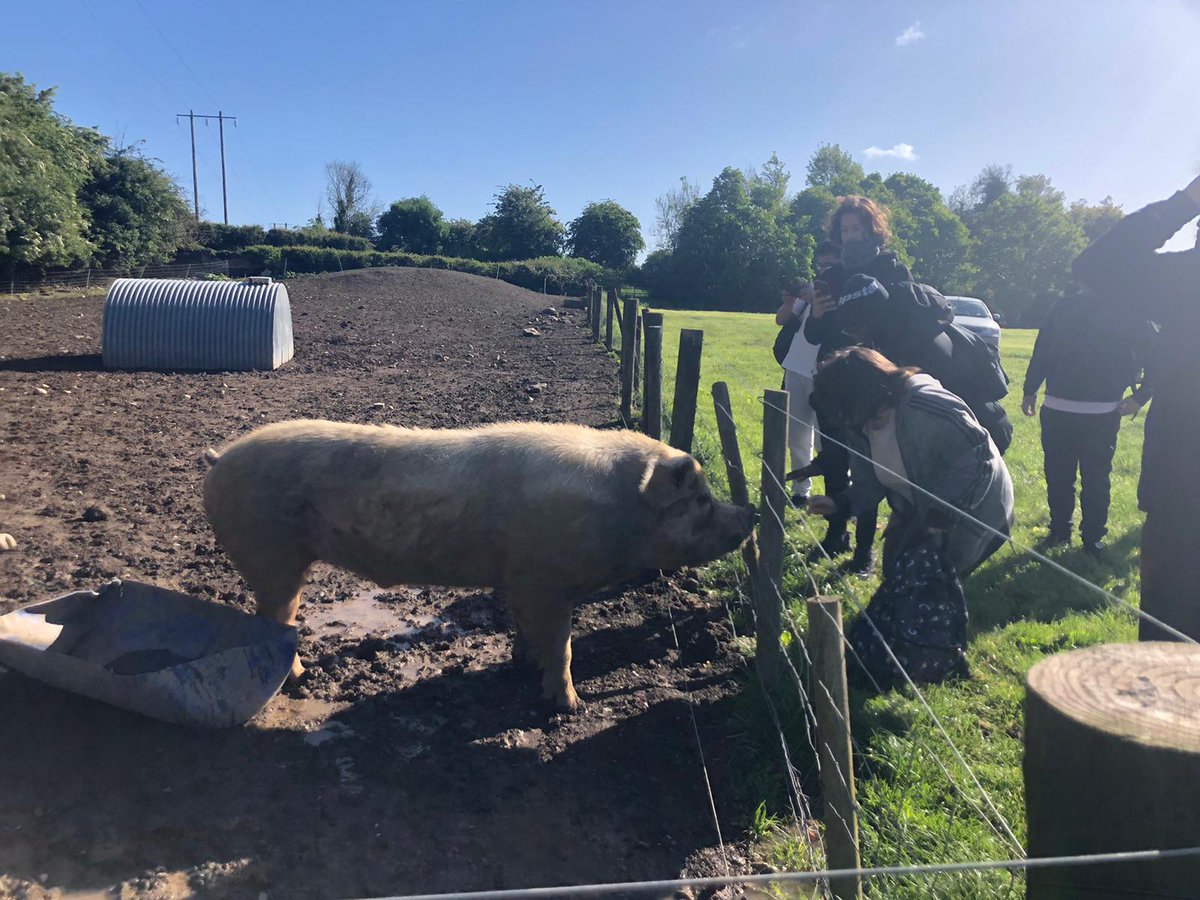 Un superbe séjour en Irlande qui permet à une quarantaine d'élèves du <a href="/College_Jaubert/">Collège Maurice Jaubert</a> de découvrir Dublin et la campagne irlandaise