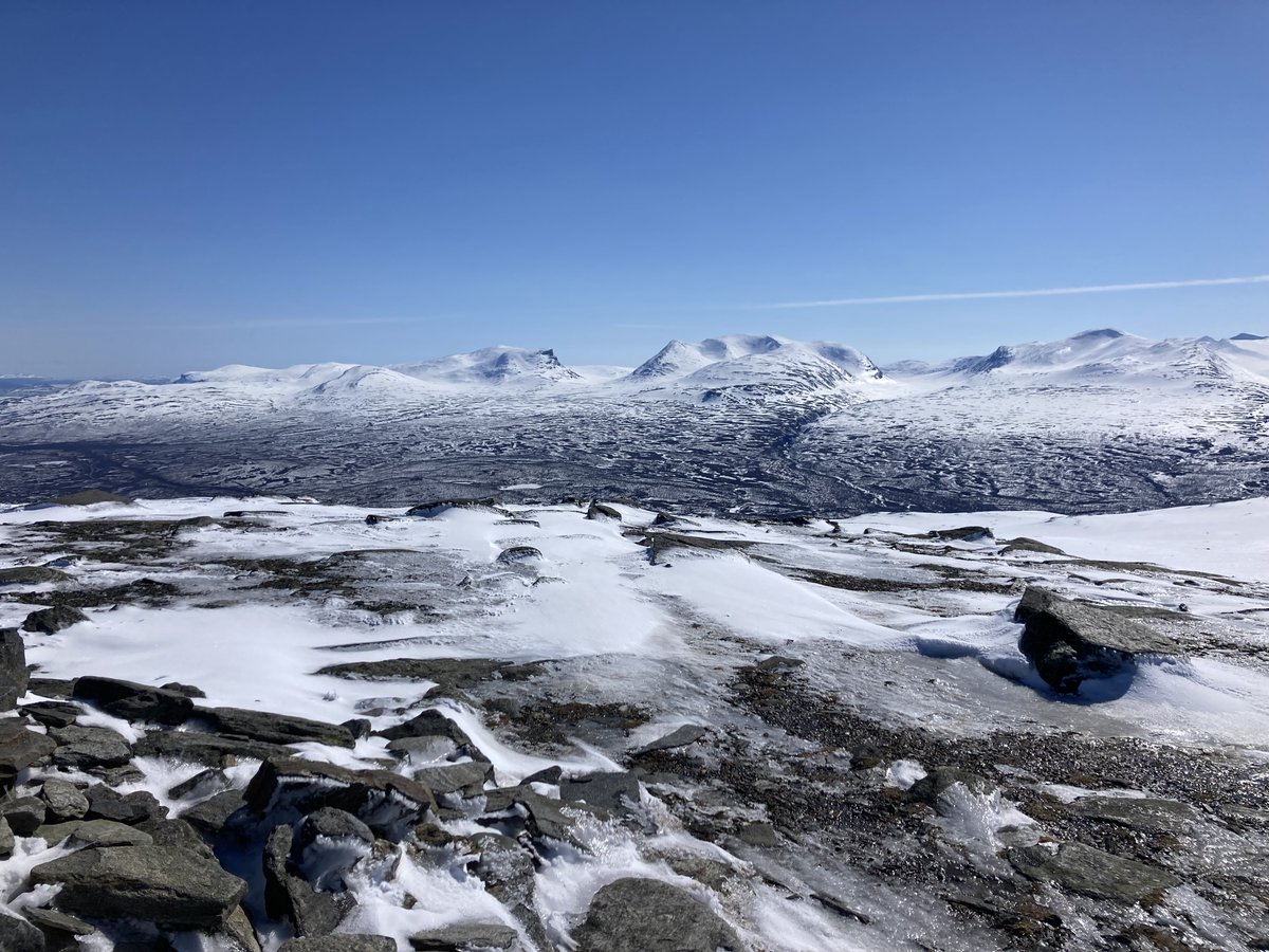 SuziEgleston's tweet photo. Happy world bee day! 🐝 Very excited to be doing my masters project with the Gill lab @richjgill @aoifecj  in Abisko national park looking at bumblebee and plant interactions along a historical transect and the potential effects of climate change on these. https://t.co/1UZoXFVlcX