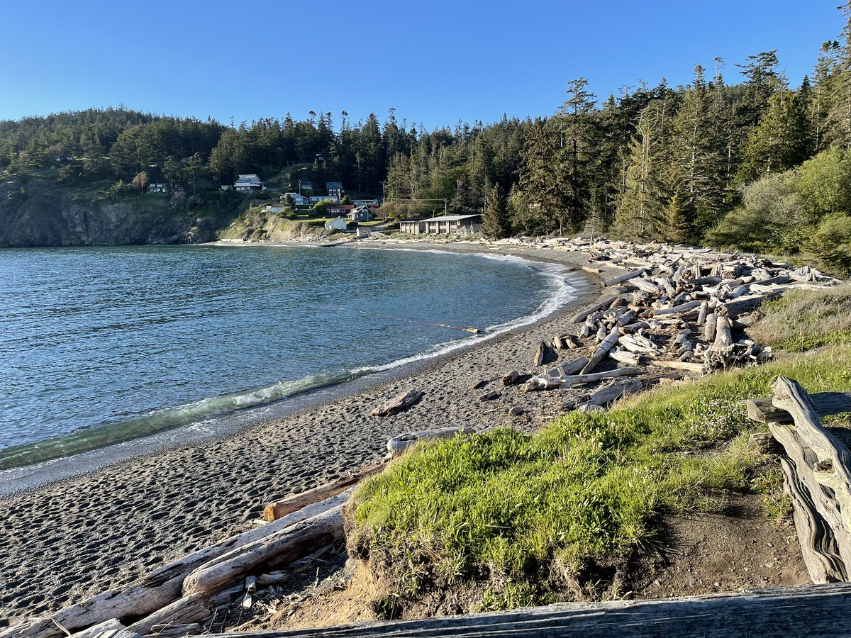 time_captain's tweet photo. Incredible experience last night to watch gourmet campground cooking by Katie of @bellinghampasta and a walk after dinner to look at the stunning views from Bowman Bay and Rosario Beach. https://t.co/JDqb3O82ab