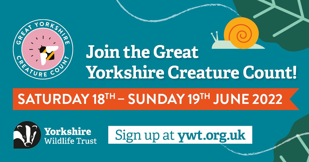 Yorkshire Wildlife Trust - follow us on Bluesky 🦋 tweet media
