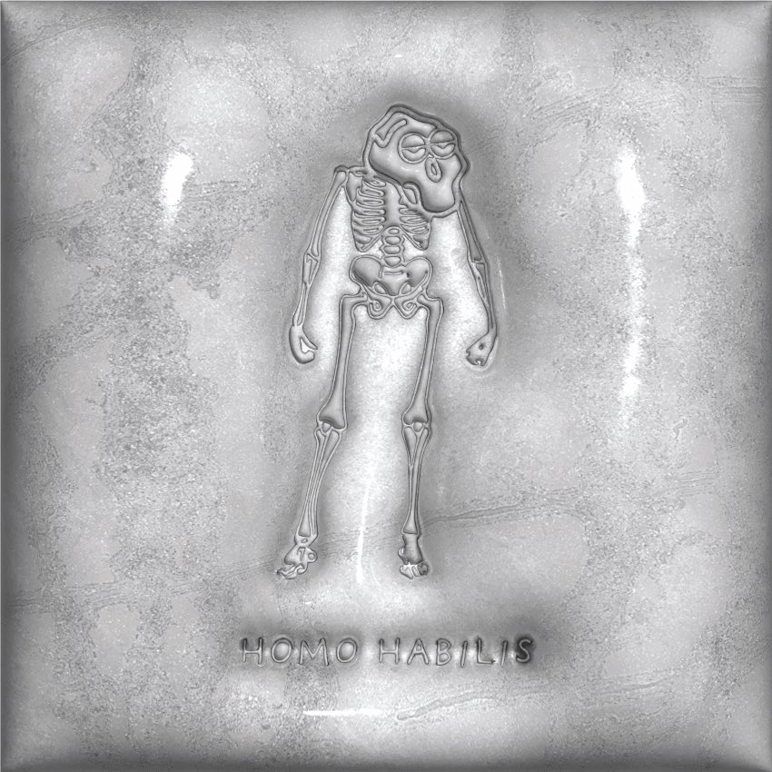 LaCheetah's tweet photo. HOMO HABILIS - Evolution 2-6 #nft #NFTCommunity #nftart #NFTartists #nftmexico #nftwomen https://t.co/b436ZBnoIq
