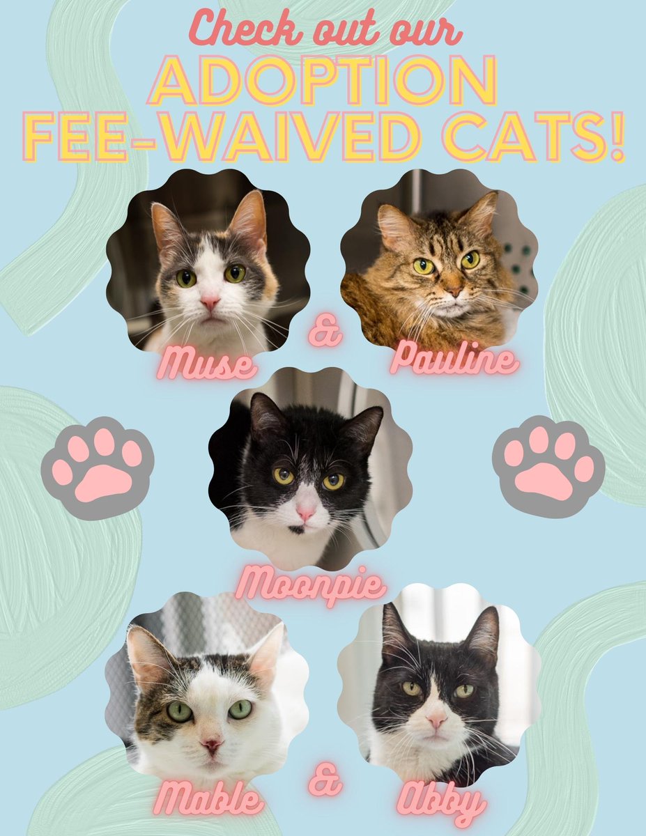 APS of Durham tweet media