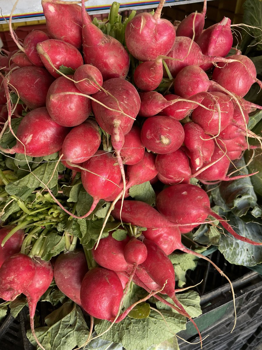 CryptoPussys 🥝🍒 tweet media
