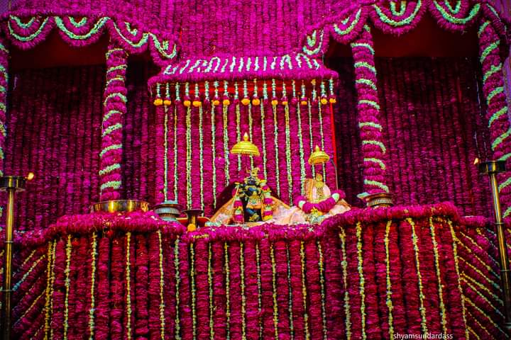 atulkrishnaak's tweet photo. Radha Raman  🌹
Rose Bangla - गुलाब बंगला  Darshans  #AK Watch 👇
https://t.co/P0FtXYaQeS... https://t.co/pmfLEeTuCa
