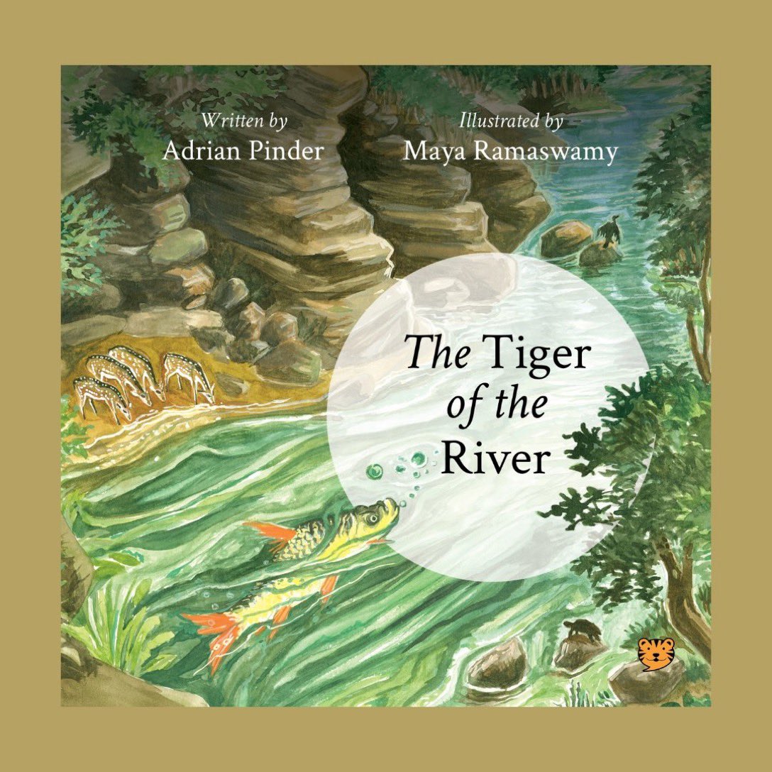 Adrian Pinder tweet media