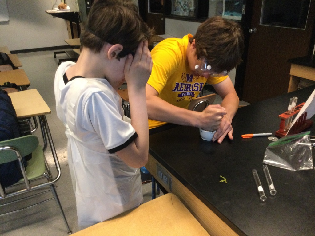 AreaMelrose's tweet photo. 2nd graders in Ms Deter's class and 9th graders in physical science worked together on a plant pigment activity! https://t.co/8Y9gbBwLL0