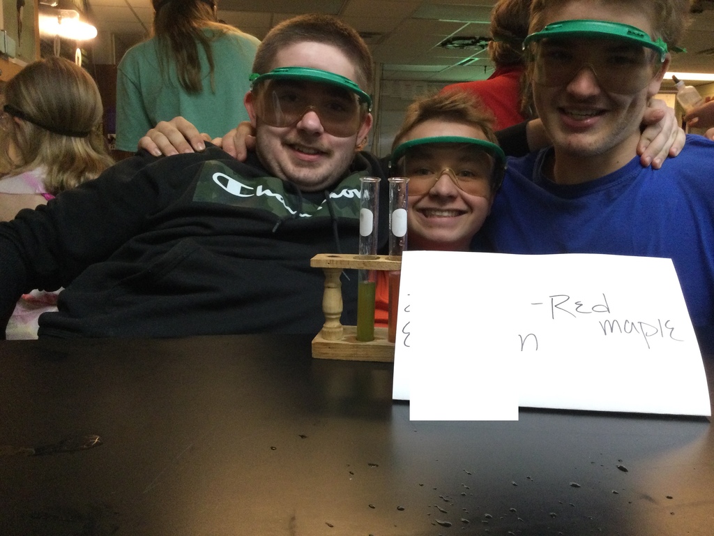 2nd graders in Ms Deter's class and 9th graders in physical science worked together on a plant pigment activity!