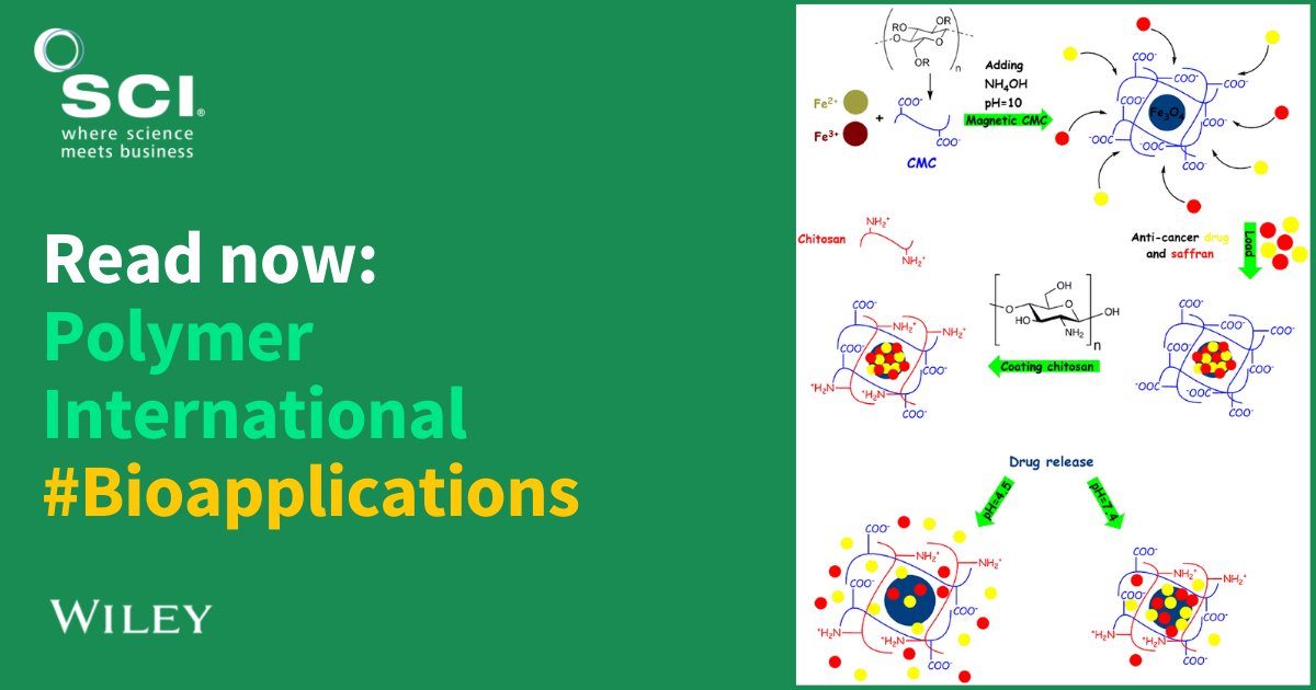 Wiley_Chemistry's tweet photo. New from #PolymerInternational | Novel magnetic carboxymethylcellulose/chitosan bio-nanocomposites for smart co-delivery of sunitinib malate #anticancer compound and saffron extract.
#FreetoRead >> https://t.co/VrGR5oRlW7
@SCIupdate @WileyPolymers
#BioApplications #Polymers https://t.co/6PlLU1okDE