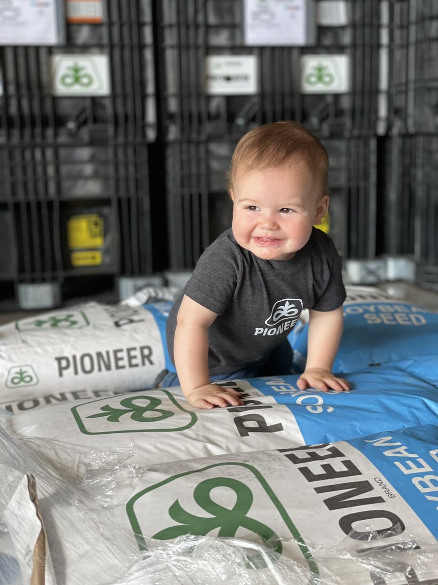 apagsupply's tweet photo. When those A-Series E3 beans go out the door. 

#farmkidfriday #farmerfriday @PioneerSeeds https://t.co/Eiwk2A6qYf