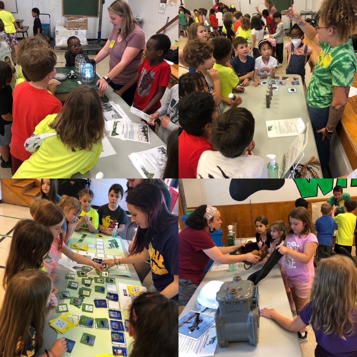 WilderWildcats's tweet image. Our first graders are having a blast learning from the traveling @KYScience! It’s electric⚡️in here! @KicicZerina @jkaelin_kaelin @BillPerkins12 @JCPSKY #DoScience #KYScience