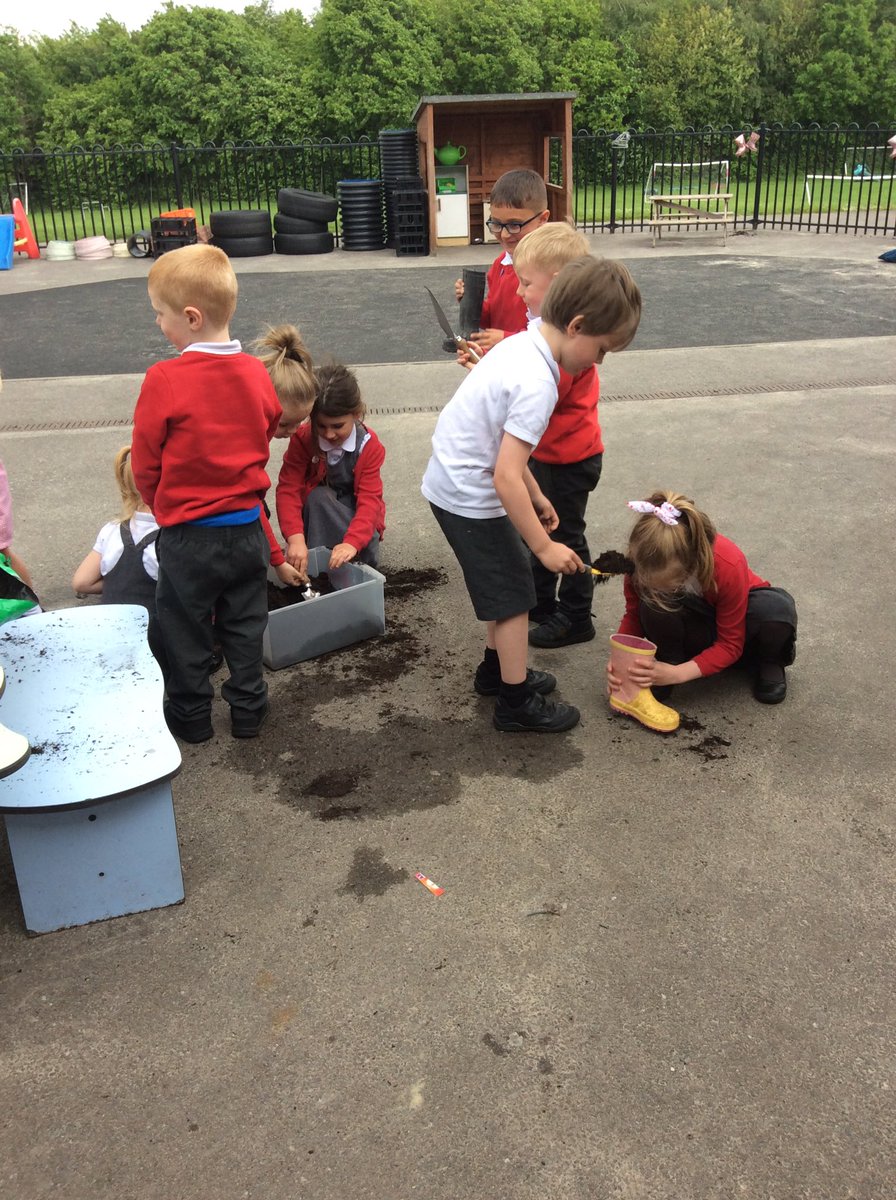 gillmarsh11's tweet photo. Recycling old Wellington boots as planters. We have planted seeds to enhance our outdoor area.
#joeysutw
@_MrsBG @stjs_staveley https://t.co/q0XDJGOJRS
