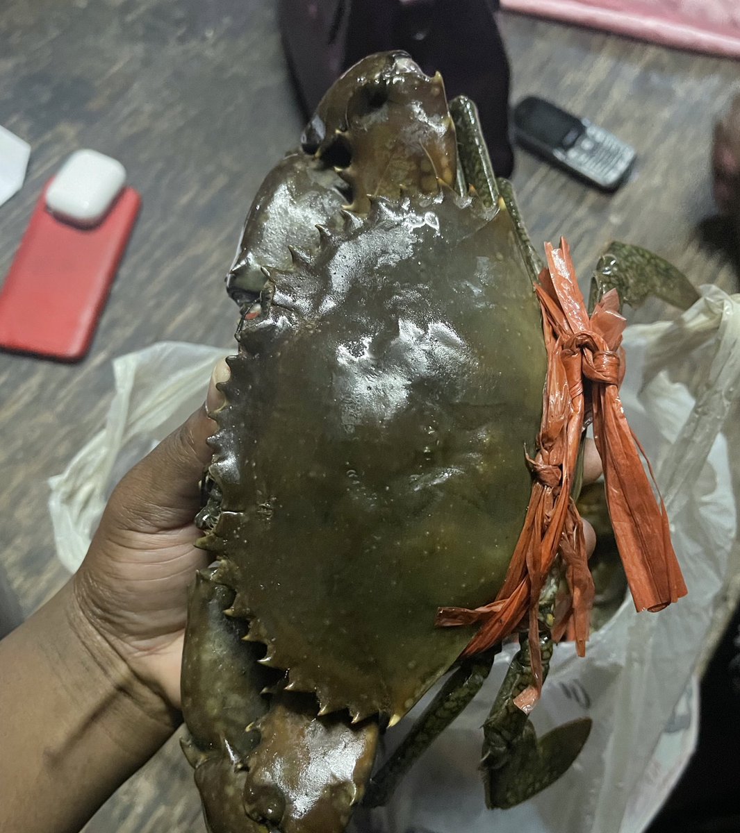 MariscosDa's tweet photo. Oi família
Temos caranguejo santola 
450 o kg https://t.co/i1THwsujmP
