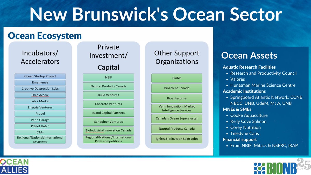 OceanAlliesCAN's tweet photo. DYK the #OceanSector in New Brunswick is mainly driven by exports of whole or partially processed fish & seafood and offers more than 25,500 full-time equivalent jobs? #OceanCareers https://t.co/qjK47M4T2x