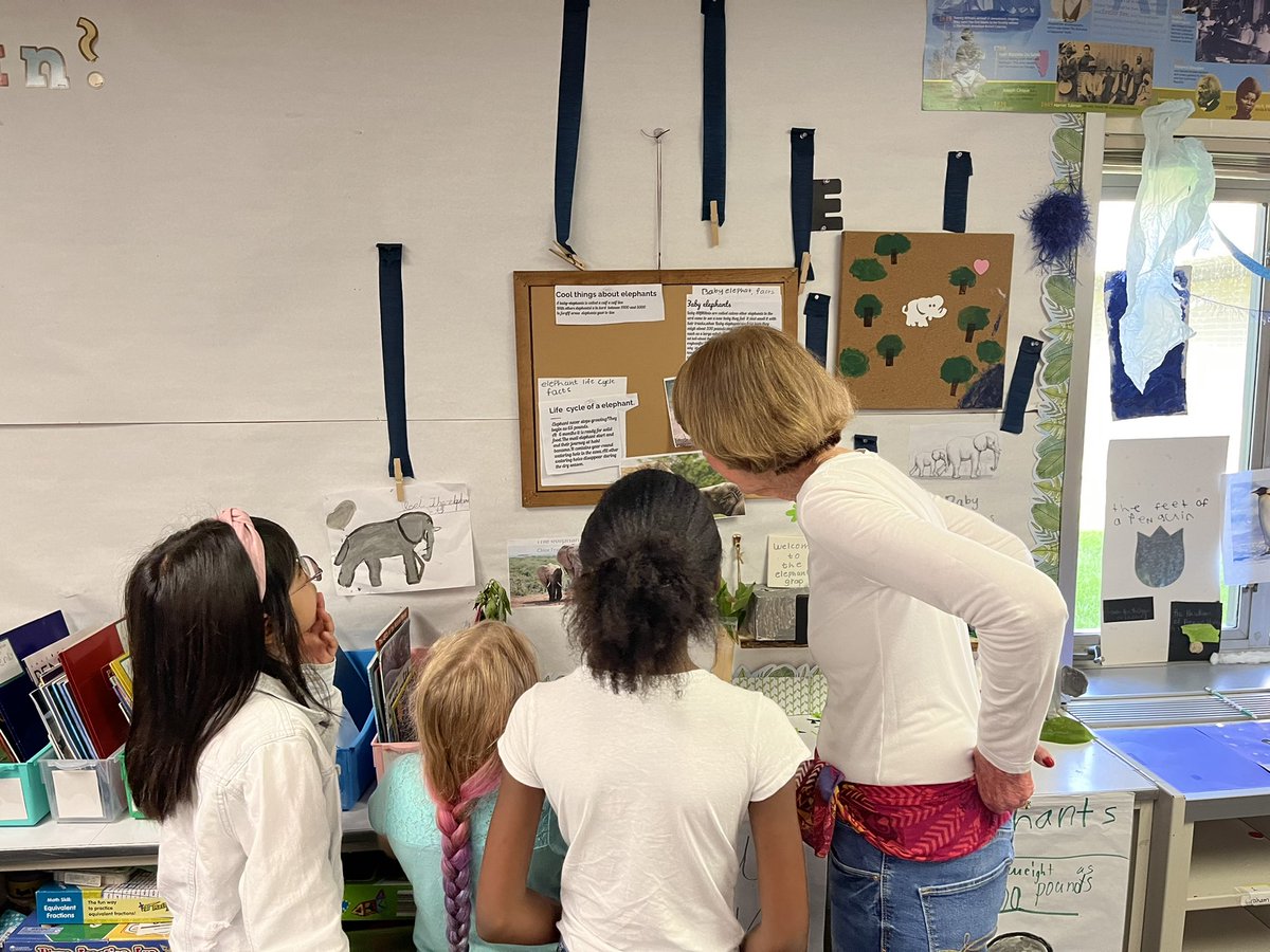 NoraElem's tweet photo. Miss Brownlee and Miss Collazo’s 3rd graders did a great job on their museum showcasing their animal research projects today! @msdwt https://t.co/KViBRqxkKd