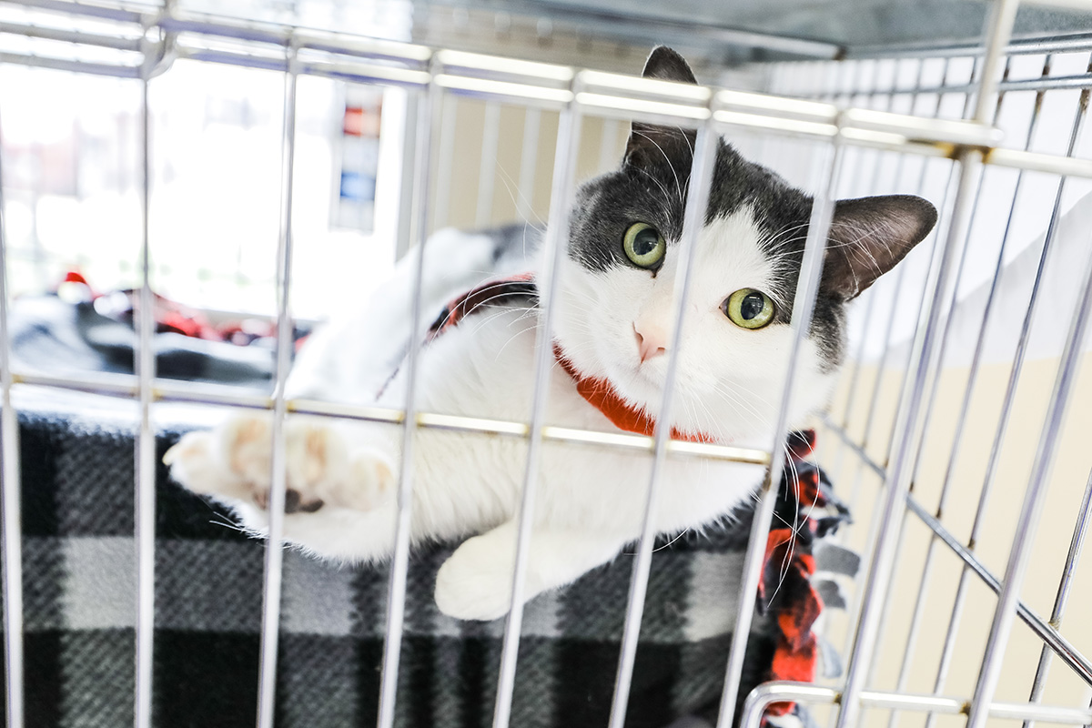 Volume One tweet media