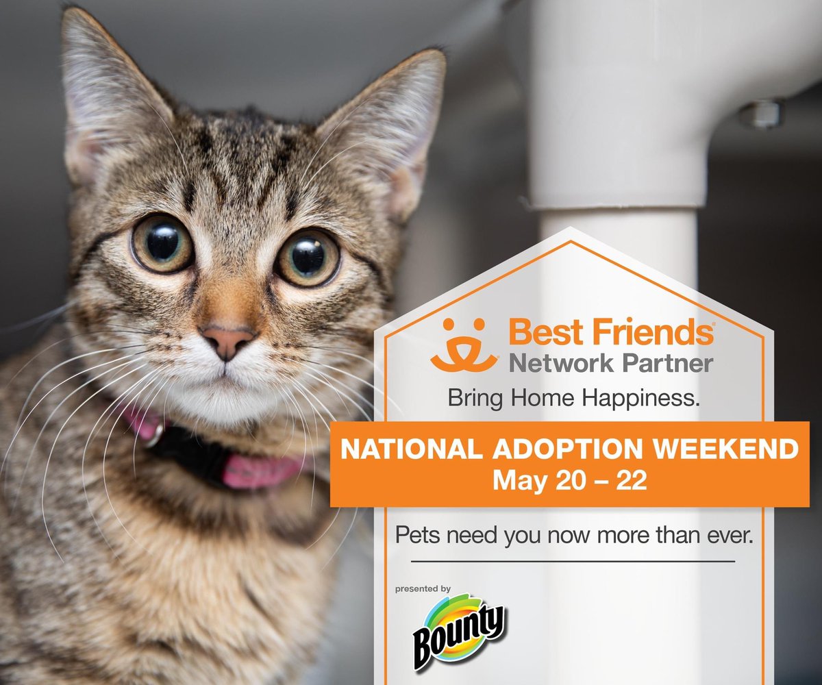We’re partnering with Best Friends Animal Society  and Bounty to Bring Home Happiness! Starting today May 20 through 22nd.#bountytotherescue