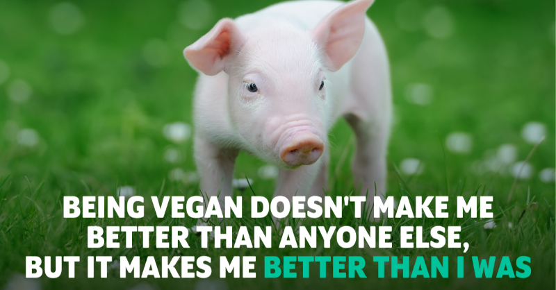 Veganuary tweet media