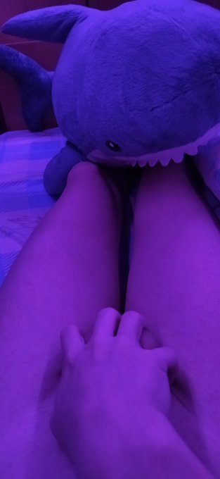 Sharkie...
#Femboy #LGBTQ #Porn #Cute #Horny #Lewd #Hot #nsfw #Thighs https://t.co/ywFCEsbdIs