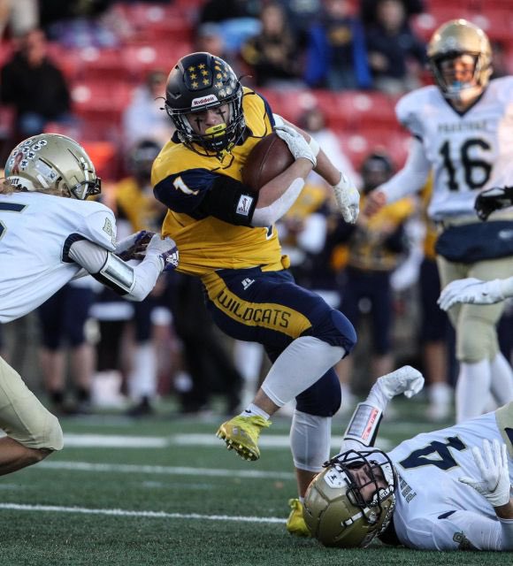 Max Barone tweet media