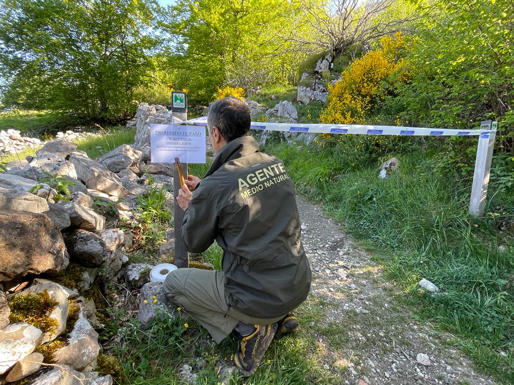 fundacionoso's tweet photo. 👏Excelente trabajo de la administración ambiental asturiana para proteger a una osa con crías 🐻🧸🧸próximas a una ruta muy transitada en el P.N. de Somiedo.
Es una regulación temporal para evitar molestias a la familia de osos e incidentes entre osos y personas. https://t.co/X7p6evmb8M