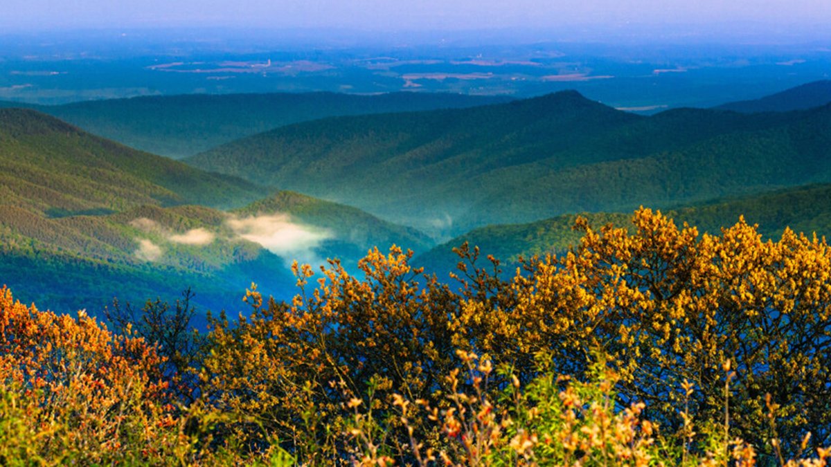 conservationall's tweet image. #FundedProjectFriday VA Wilderness Committee - Funded in 2022 -  Shenandoah Mountain National Scenic Area Project: To pass legislation protecting 98,200 acres of Virginia’s George Washington National Forest as National Scenic Area &amp;amp; Wilderness. Guest blog: bit.ly/3G2cEZ7
