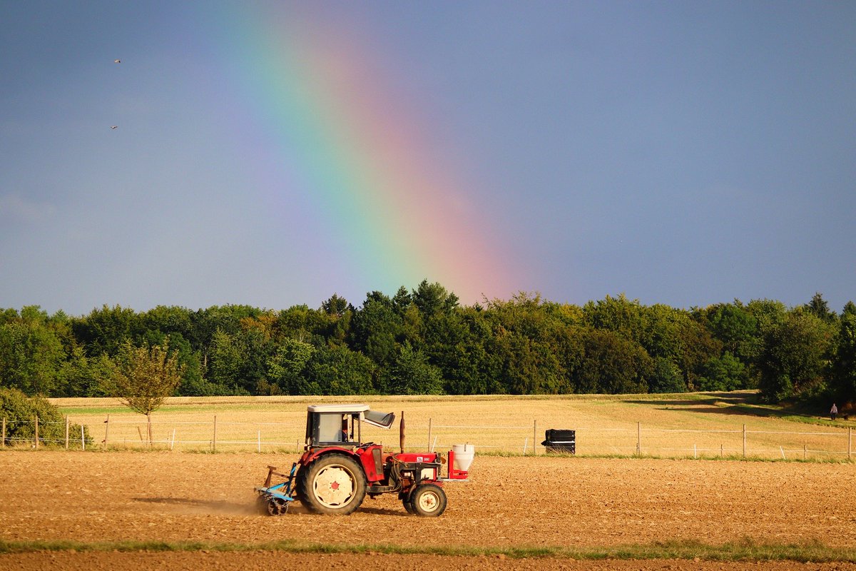 The answer to the current problems for farming is to go further &amp; faster, not turn back the clock: wcl.org.uk/three-basic-di…

My blog's a response to this important report by <a href="/horton_official/">Helena Horton</a> of political threats to the transition to sustainable farming: 

theguardian.com/environment/20…
