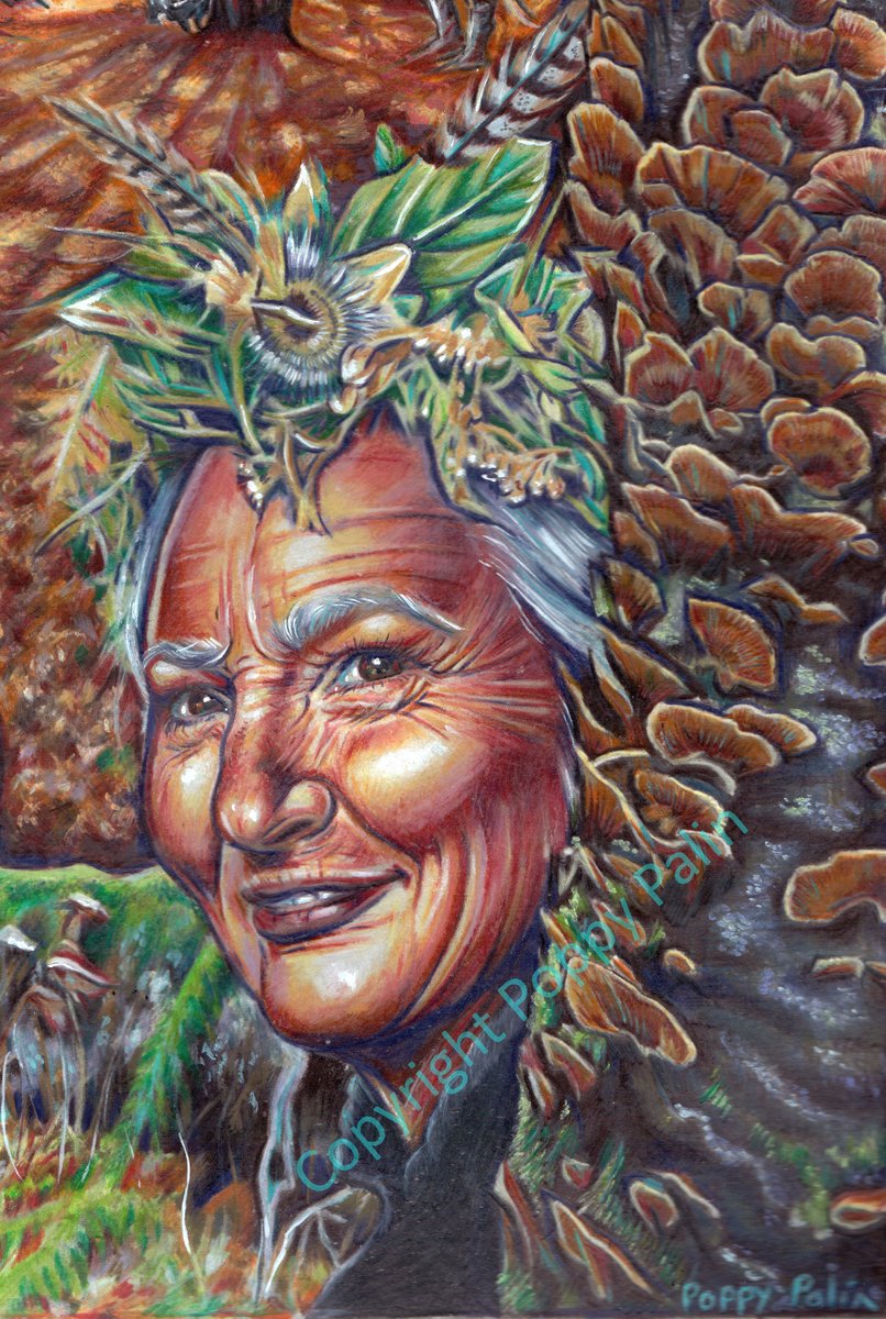 PalinPoppy's tweet photo. Poppy Palin - Illustration Extras and the Ones that Got Away from the Everyday Enchantment Tarot! Part One of new video showing recent but less seen work https://t.co/rtNSUctGDR For all our relations, human and non-human, with love #WildSpirit #TheGreening #GreenSpirituality https://t.co/76JbpuqJVu