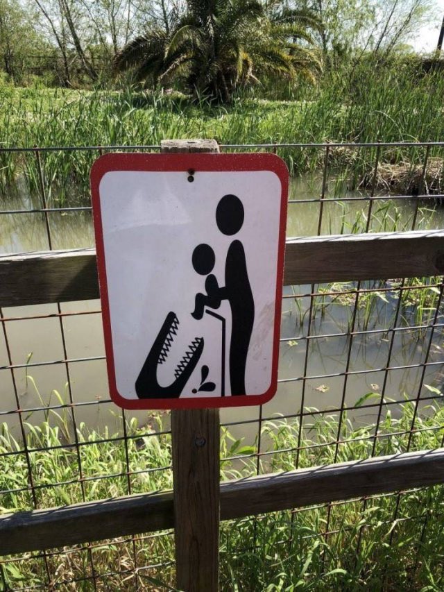 Interdiction de nourrir les crocodiles avec des bébés !