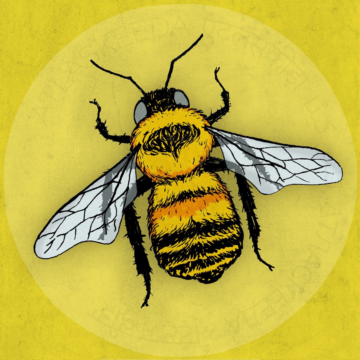 atlaskeeda's tweet photo. To bee or not to bee! 

Is not the question! Today's story takes us to Slovenia, where the pioneer of modern beekeeping - Anton Jansa - was born #onthisday, nearly 300 years ago. And hence, today is #InternationalBeeDay! (Bet you didn't know that)
.
.
Caption @poojjuu
#day787
1/2 https://t.co/OZpnNykzmL