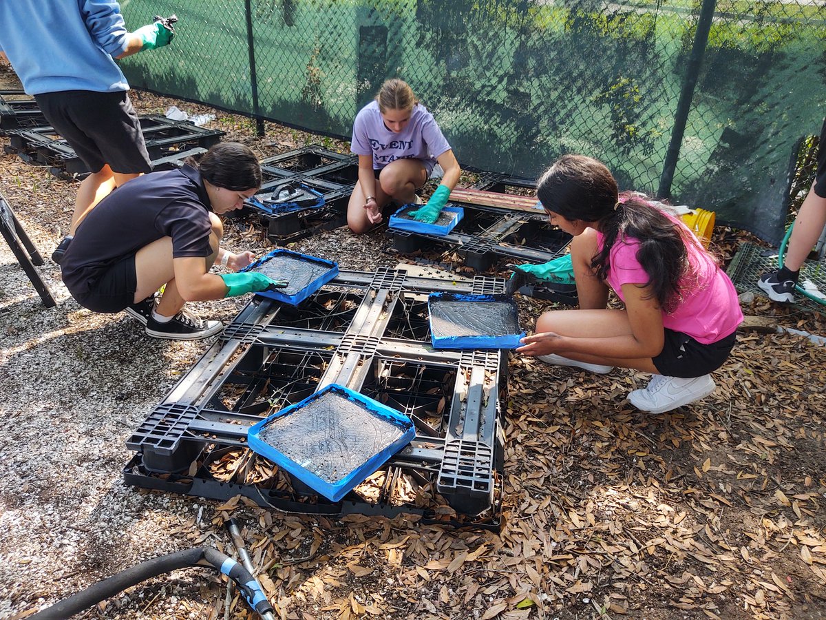 ccc_language's tweet photo. Finishing up the mosaics! @LHPclassroom https://t.co/7bE2EIR7Xa