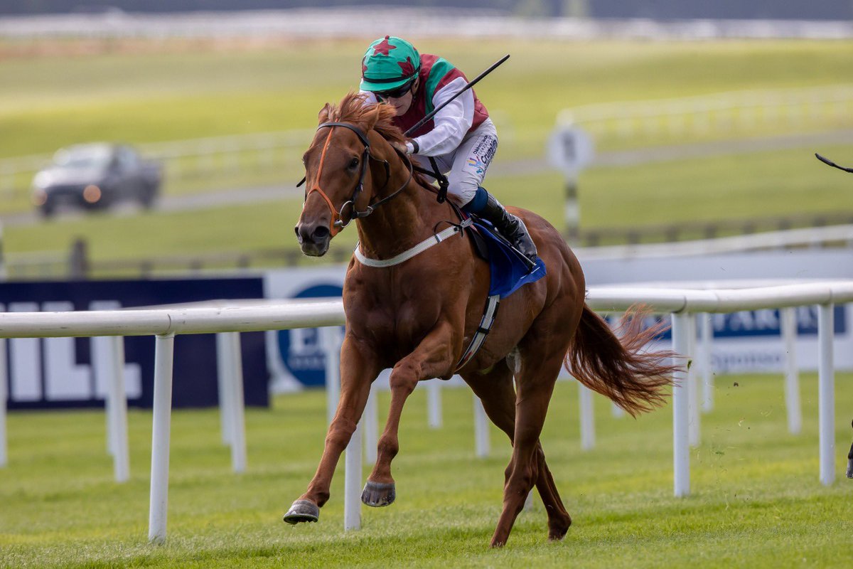The Curragh Racecourse tweet media