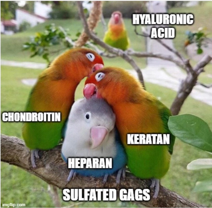 In my #extracellularmatrix engineering class, I offered an extra credit assignment to make a meme (or graphical abstract) illustrating an ECM-related concept. The results brought me great joy, so I thought I'd share some of my favorites (all with permission).