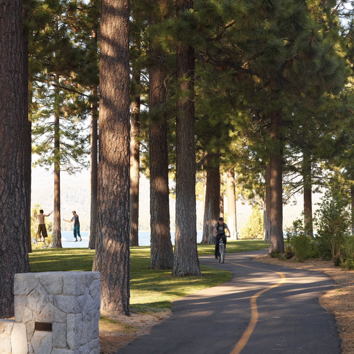 Celebrating Bike to Work Day!
#BiketoWorkDay, #btwd, #btwd2022 #landscapearchitecture