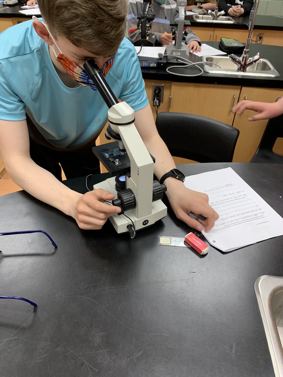 Grade 8 science students expanding their microscope skills by creating their own slides and exploring things around the classroom. #nlesd <a href="/LSASharks/">Labrador Straits Academy</a>