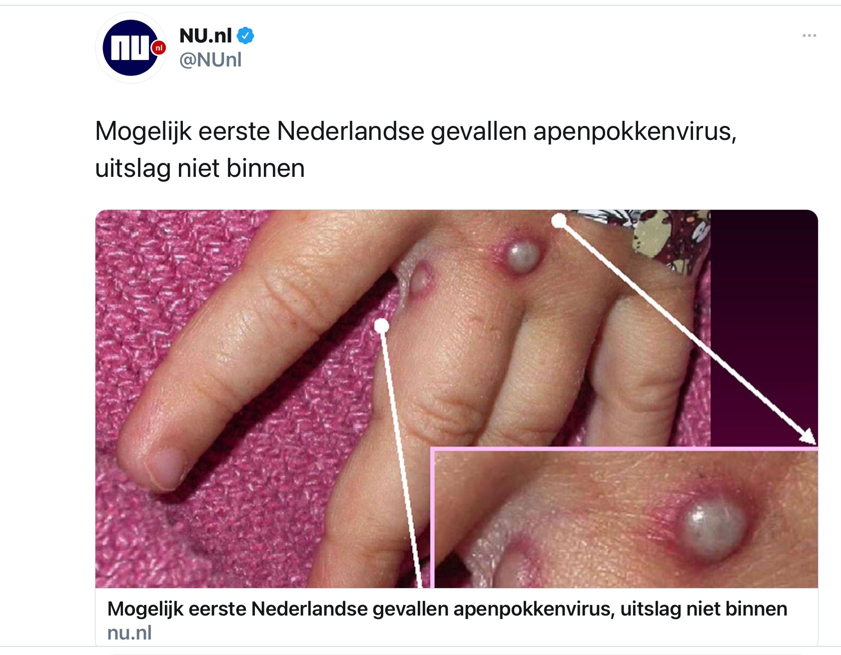 See Big Ear Cat S Tweet Twitter