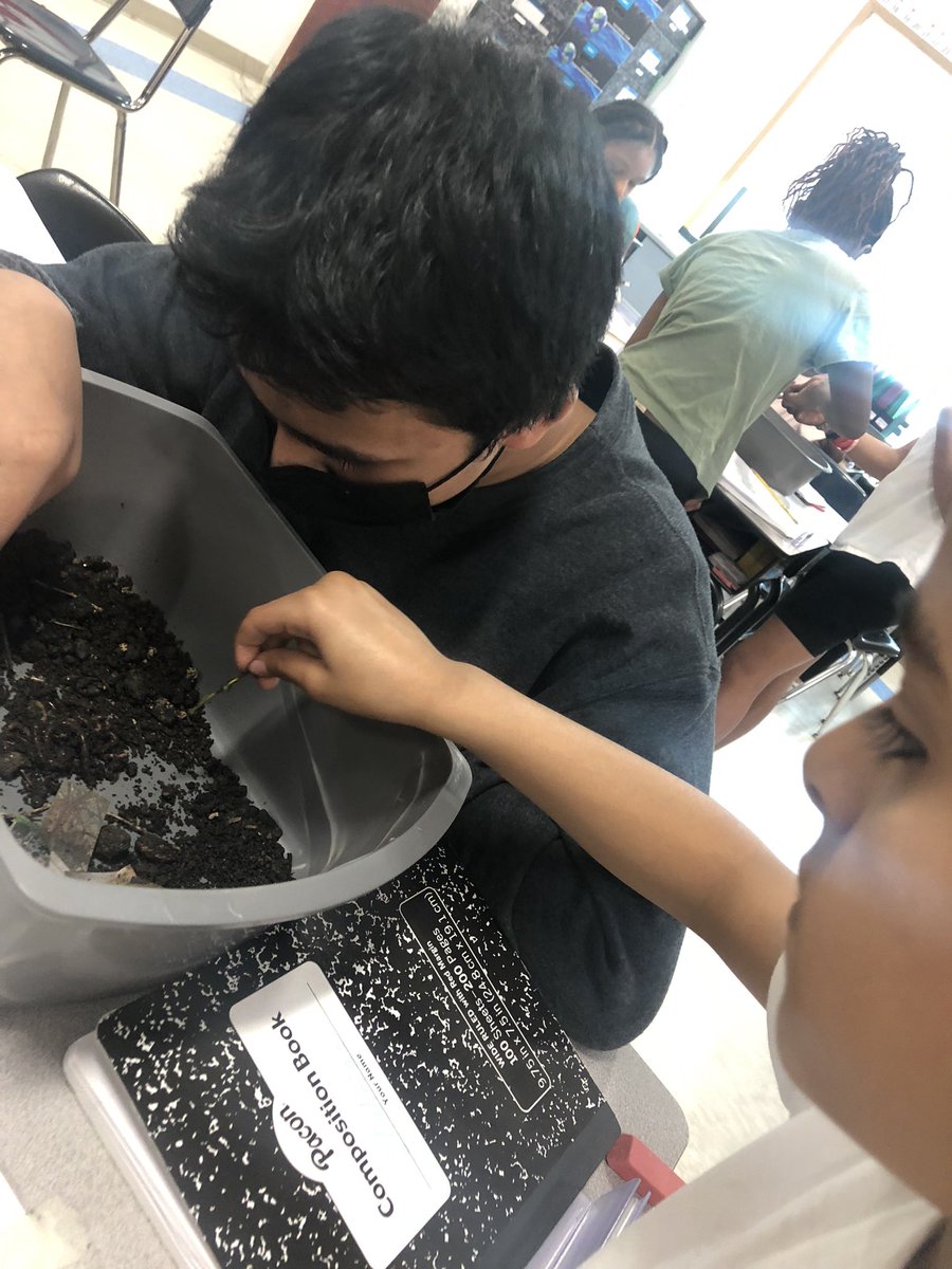 ShannonHatton23's tweet photo. @McKinleyEle @SCSDScience 5th graders opening up worm jars to view composting and decomposition in real life! #handson https://t.co/S2xl4Q6OA2