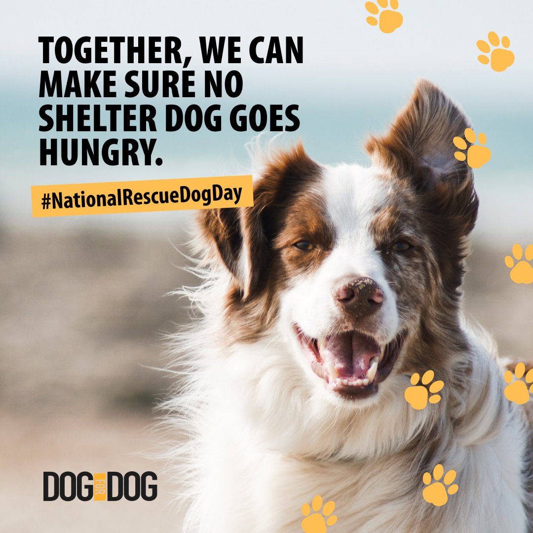 Dog for Dog (@DogforDog) / Twitter Dog for Dog (@DogforDog) / Twitter