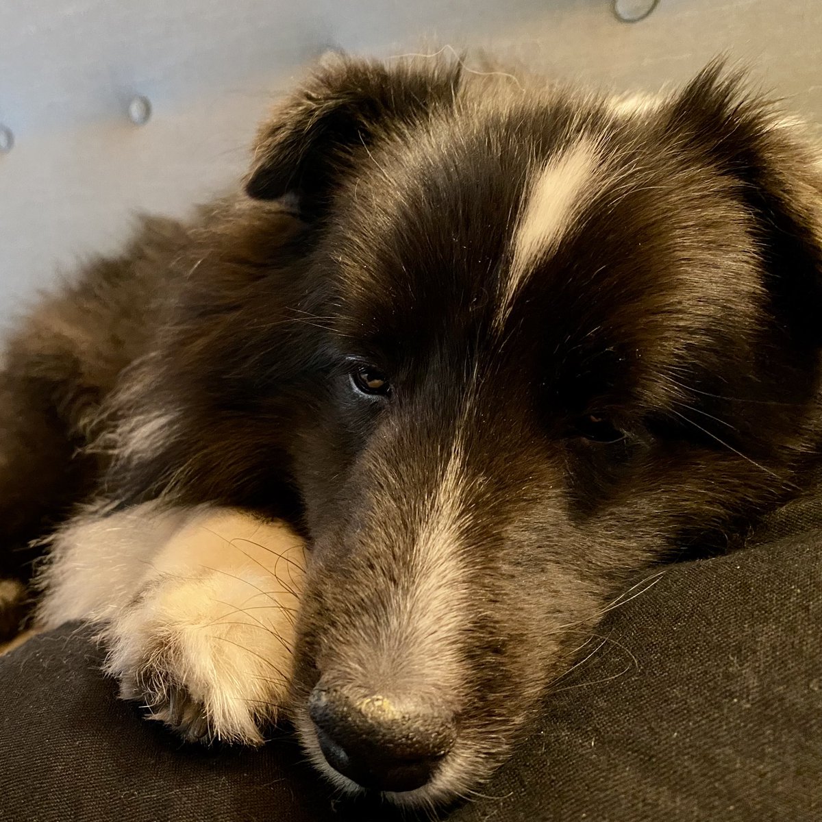 Neep McFarlane tweet media