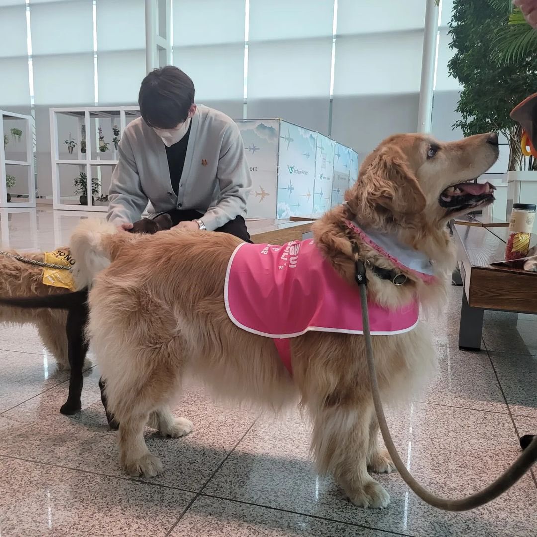 ㅠ ㅠ ㅠ ㅠ ㅠ ...
유연석 평생 가디건 입어줘,,