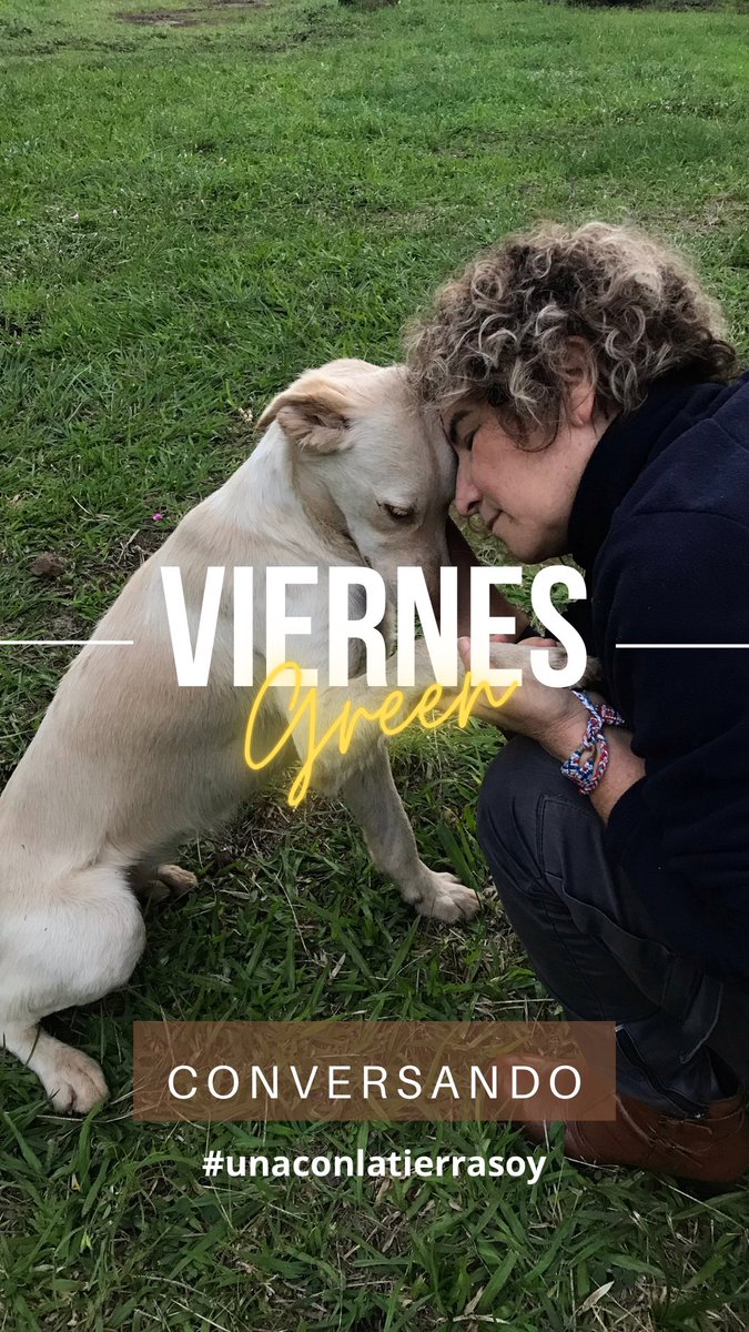 martaferre's tweet photo. #slowfriday
#vendredilent https://t.co/e1lvxGFOAJ