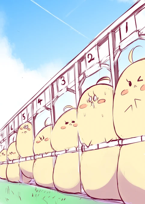 🐥饅頭レース全羽ゲートイン🐥 