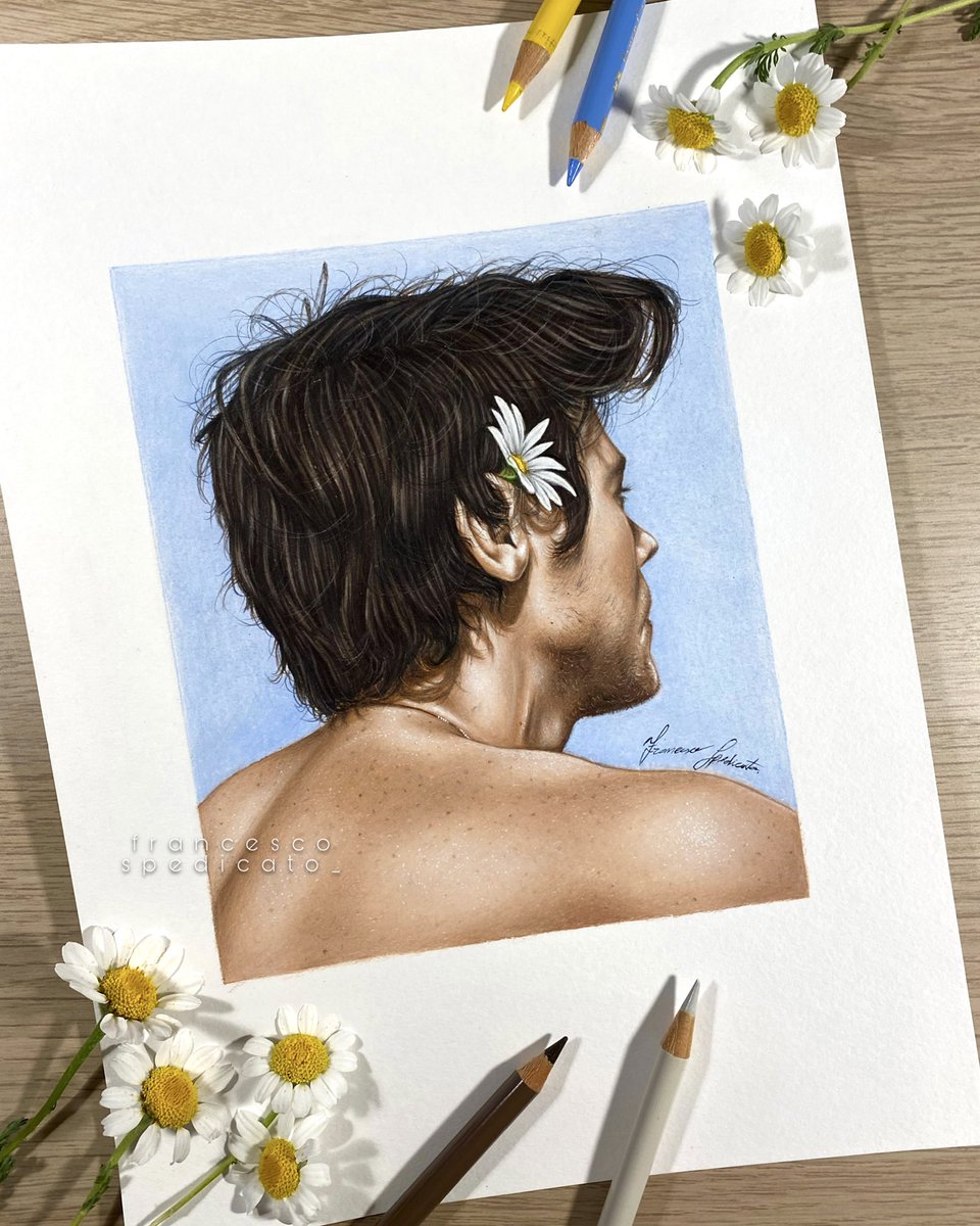 New drawing of <a href="/Harry_Styles/">Harry Styles.</a> 🌾🫶🏻 I'm so so proud of this, hope you like it!! #HarrysHouse #HarryStyles <a href="/HSHQ/">HSHQ</a>