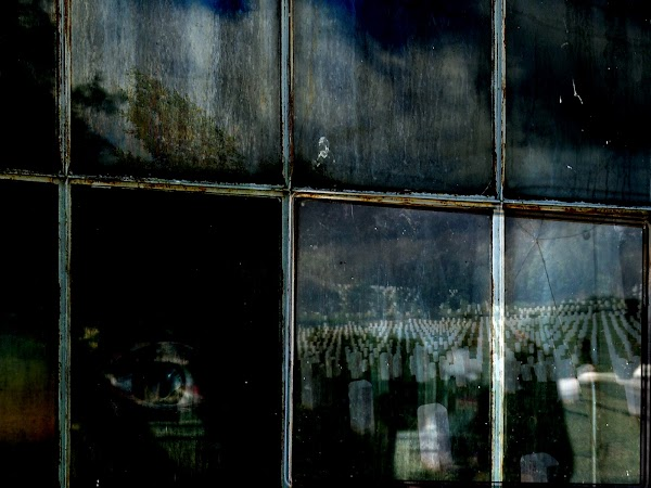 _growth revolution | tweet media