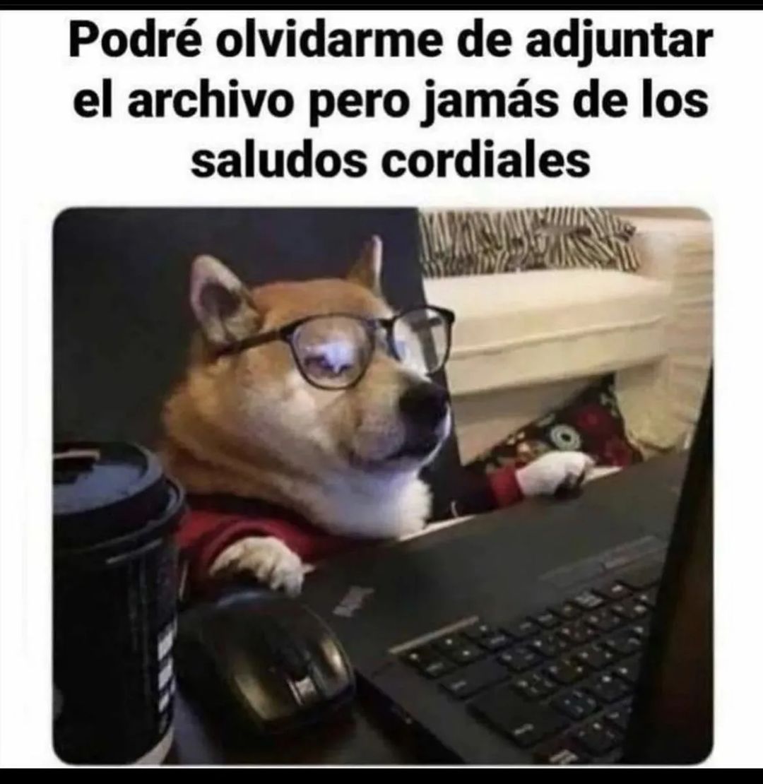 animalitos gorditos tweet media