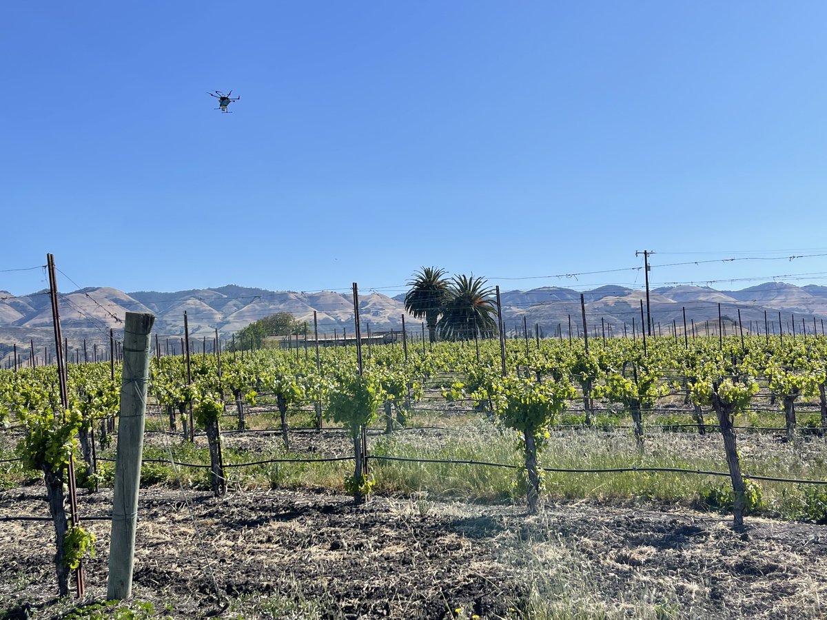 UAVIQ_Ag's tweet photo. We had a great time last week at the "Vine Mealybug Management in a Changing Environment" tailgate organized by The Vineyard Team. Thanks for having us and for the great questions of the attendees! #biocontrolbydrone #vinemealybug

#IPM #biologicalcontrol https://t.co/T18tzDGPLg
