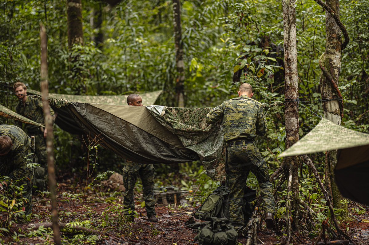 Een impressie van onze Rode Baretten en collega’s van het @korpsmariniers tijdens de #jungletraining in Suriname! #jungletrainingsuriname #rodebarettenindejungle #junglewarfarecourse #JWC