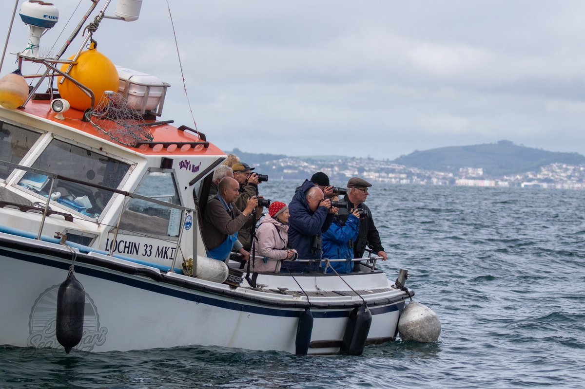 Devon Sea Safari tweet media