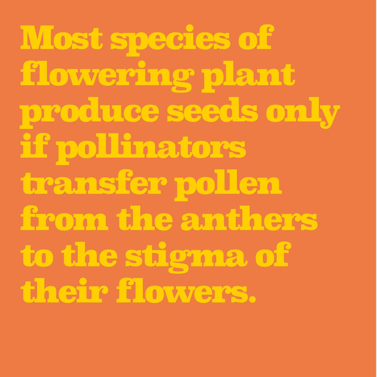 Bee Human 🐝 tweet media