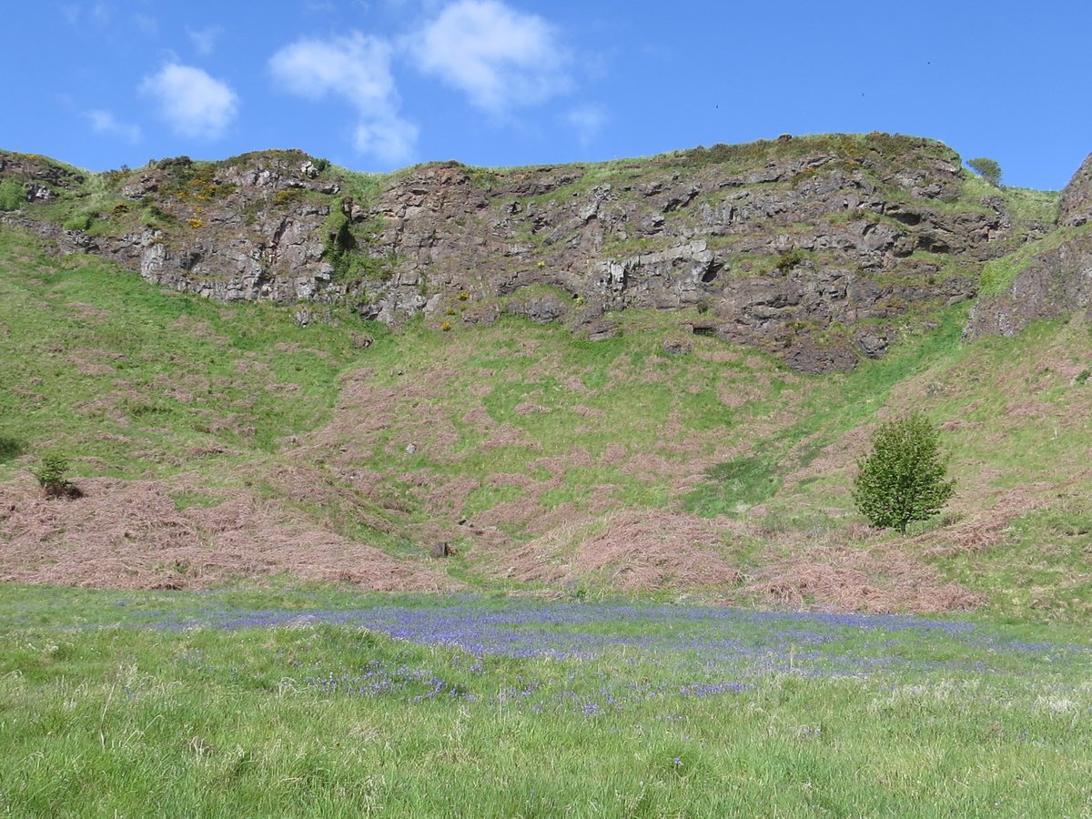 blackdogbirder's tweet photo. Beautiful day, yesterday, at St Cyrus NNR and East Haven, for @SRUC Wildlife &amp; Conservation Management students studying Habitat Management. A pleasure to meet such welcoming and knowledgeable hosts at each site. Refreshments and cake were a real unexpected bonus 😋 https://t.co/pQ7tTOaGQ3