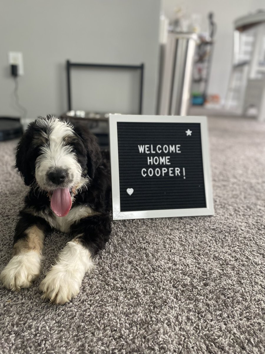 charcoal1017's tweet photo. Welcome home big guy! https://t.co/QDSP7JsCK1